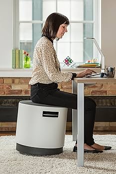 Amazon.com: Steelcase Turnstone TSBUOY Seating, Grey